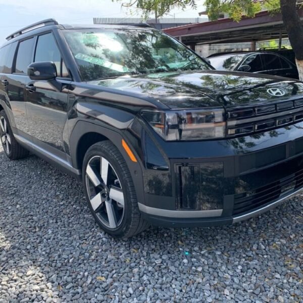 Hyundai Santafe 2025